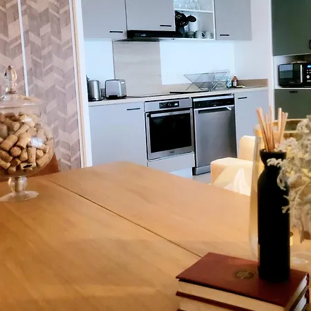 Apartment De 50m2 Avec Terrasse Et Parking Castelnau-le-Lez